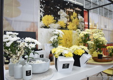 Bij Dümmen Orange laten ze een aantal soorten ook conceptmatig zien. Ze maken een zogeheten Powerbrand waarmee ze de vraag verder in de keten proberen te creëren. Op de foto de Powerbrand van Pina Colada.